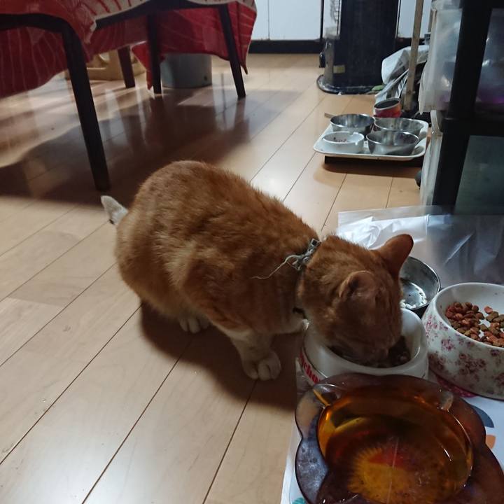 1d3b5a58 a876 4eb2 827a 642a5c0875bd 1596861414952