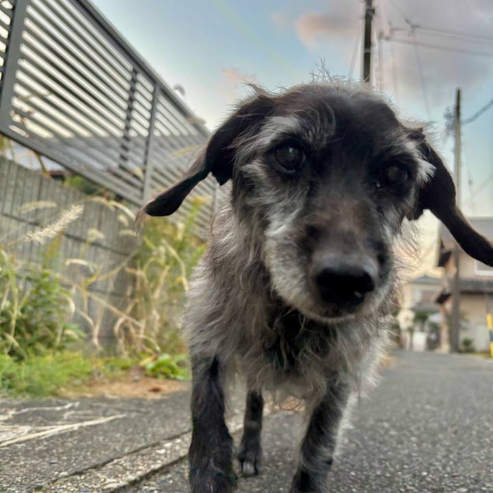 1d3b8d45 f296 4c80 b3b8 cfe464e8bd09 1765150546219