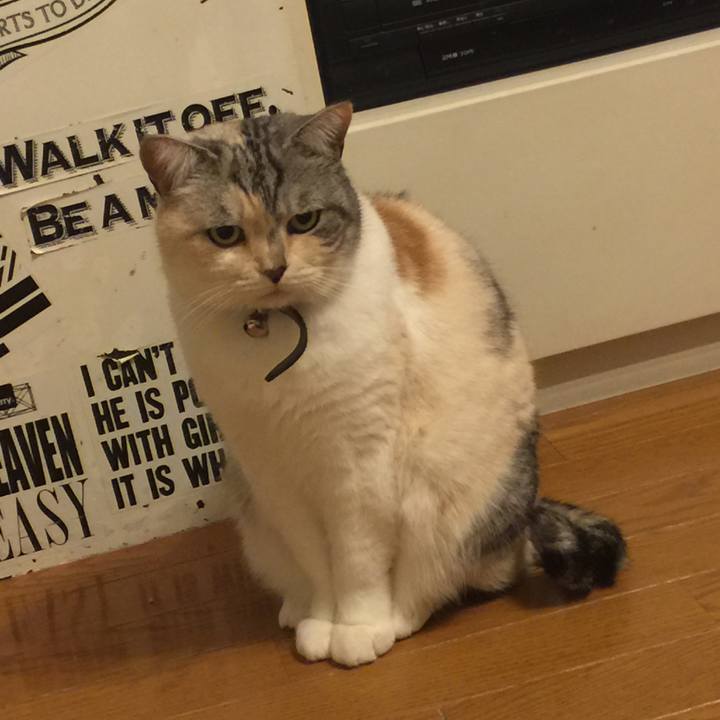 1d3ba699 0cd8 429c b1a4 a96e77787f07 1555494084253