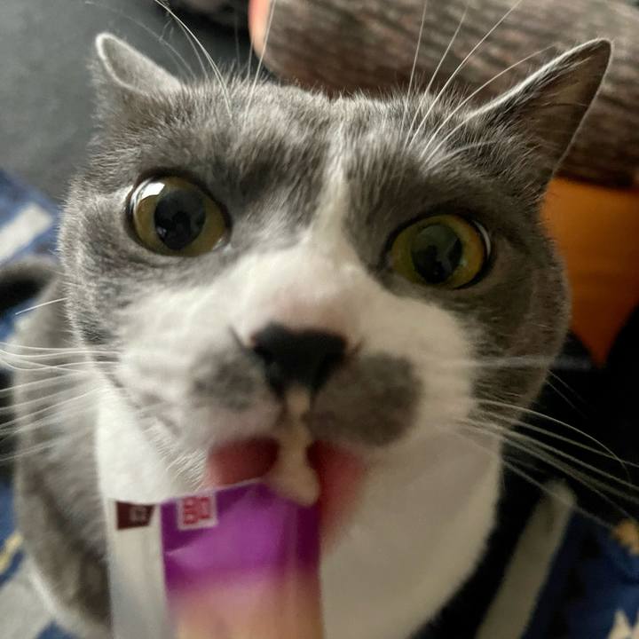 1d3bbca3 dc75 4a93 a38f 0a6fe16ffe36 1686204903098