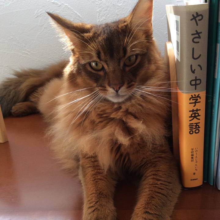 1d3be397 64ad 4721 bcce 6565b17940f1 1602807606952