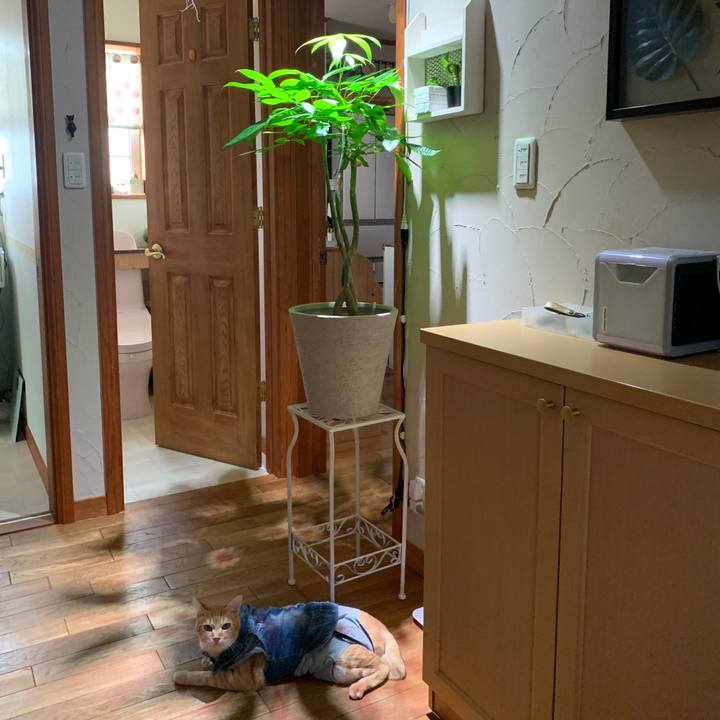 1d3bf4a4 003e 424c b3a5 ea01d8cdf5a3 1657109066266