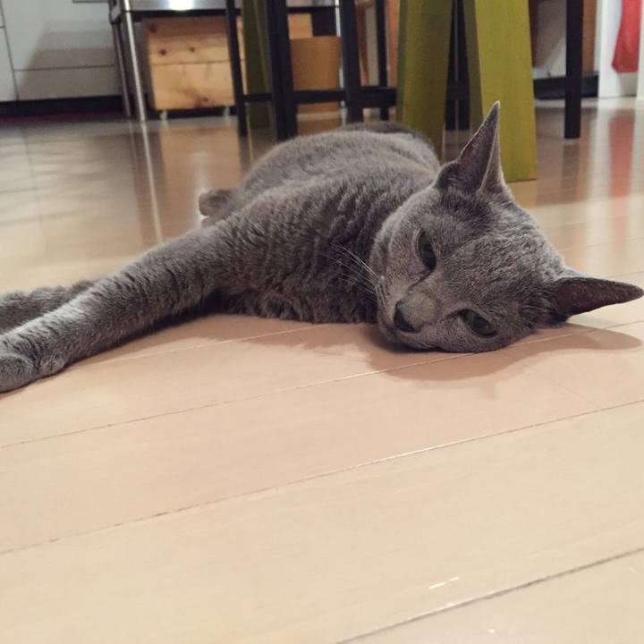 1d3c174e 8339 4f77 84a3 15e4fe4968b6 1532388872497