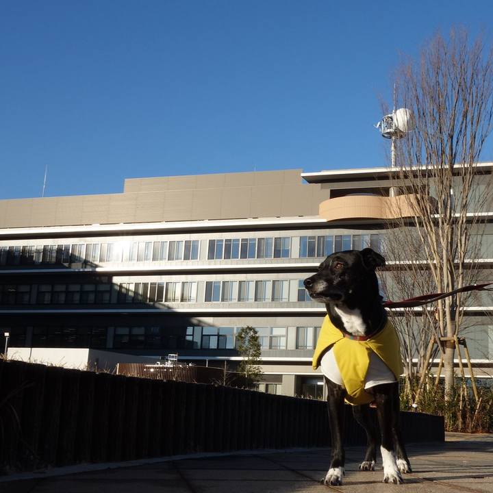 1d3cb059 b5ad 4c91 ad2d 1c05234a01ec 1738627401770