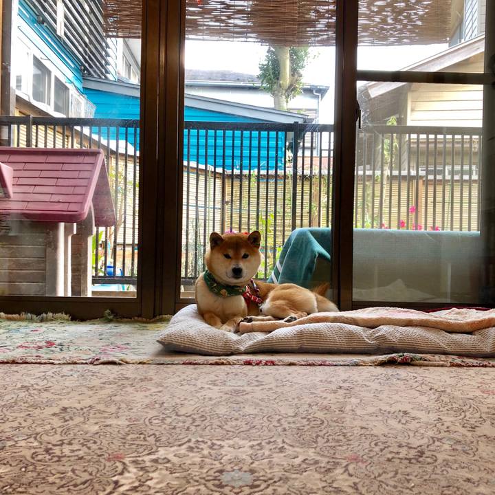 1d3cc325 de4f 4037 a0a8 f0285019a129 1523086086719