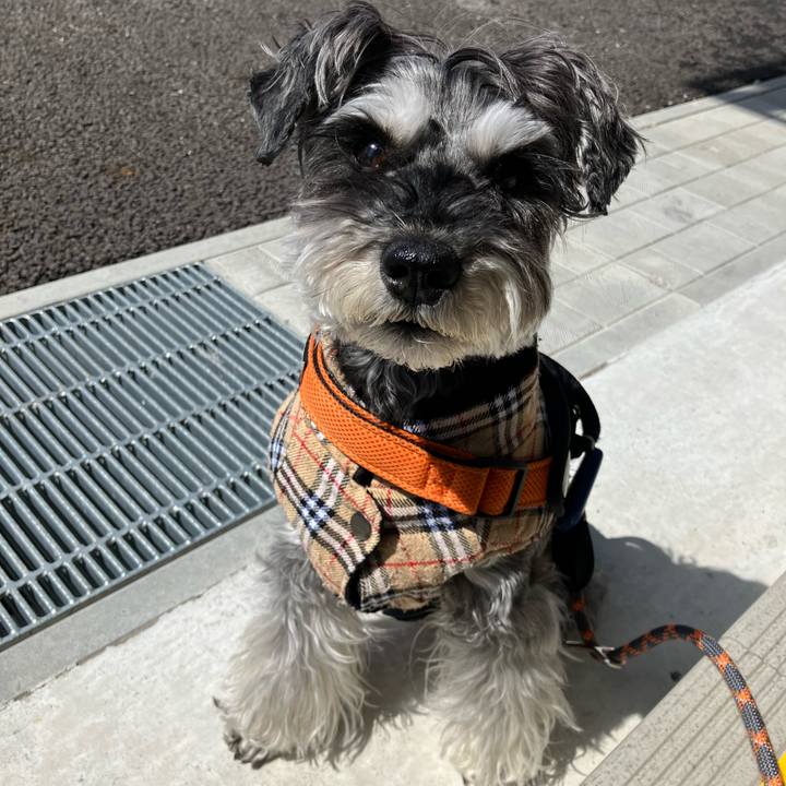 1d3ccbcd b599 4556 a773 9ed013f26e00 1743219099109