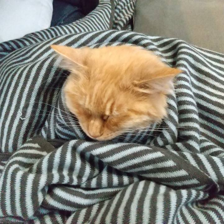 1d3ccedb 1f97 48b3 ac9a e7525196ac8c 1650436430157