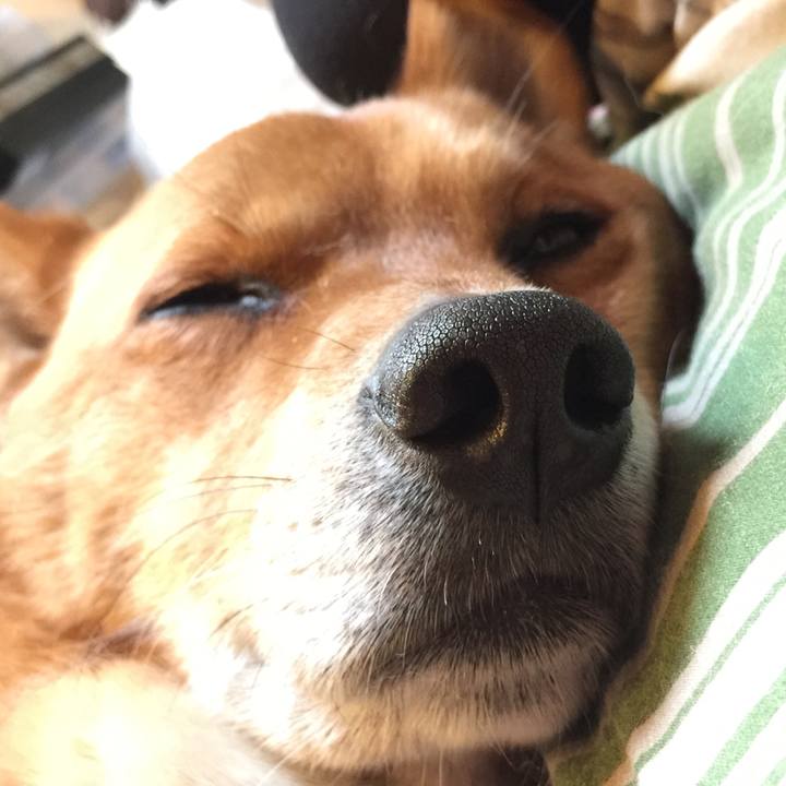 1d3ceb75 30fb 4feb abf5 eb825aad62a4 1524115500627