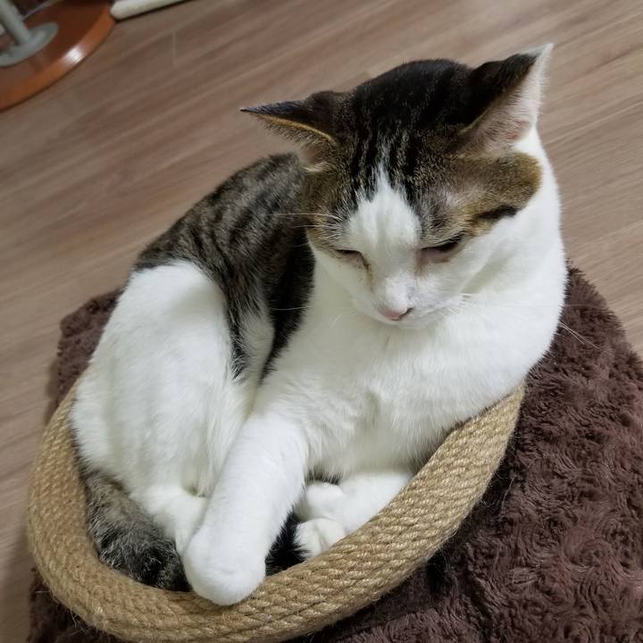 1d3cf76f b67a 4711 931a 8d376d7e6ff6 1614603072727