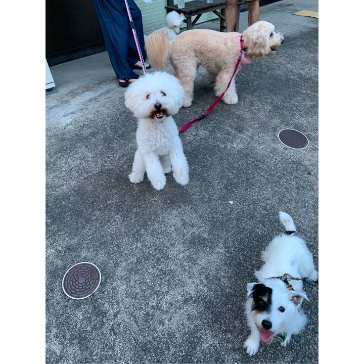 1d3d10e1 4def 4d3f 9e58 3c67cebef329 1723197400341