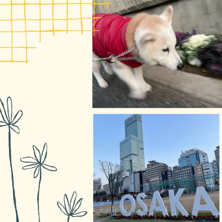 1d3d19c9 c8c1 4802 a274 90dad6a5a435 1705064863311