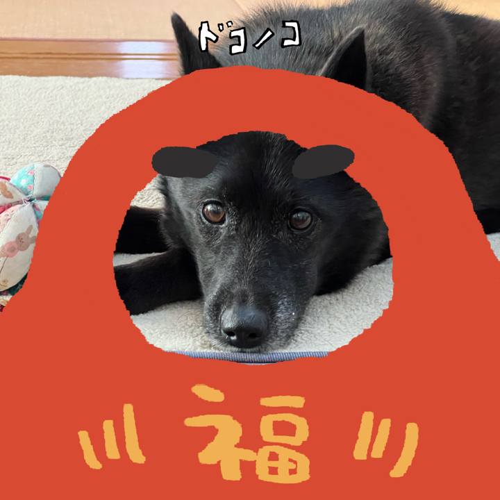 1d3d3ce3 5480 4882 b7e0 4b1ef2234d56 1772172268522