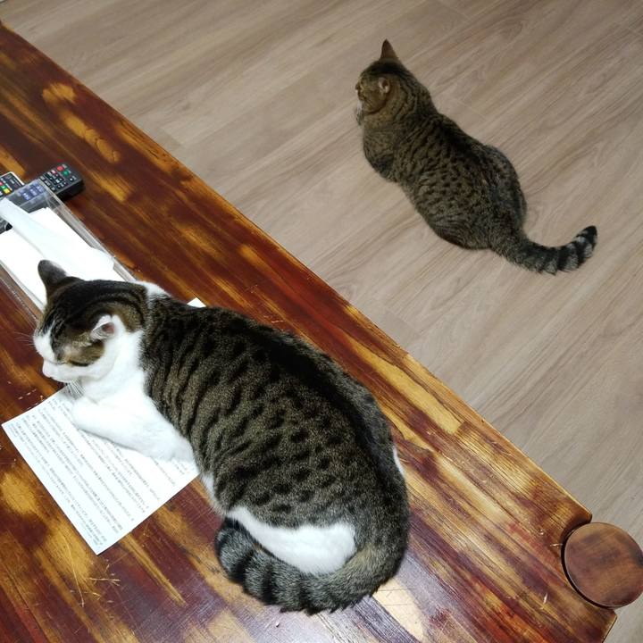 1d3d4d30 df3c 4cc0 b87c 6246011a446c 1571348972342