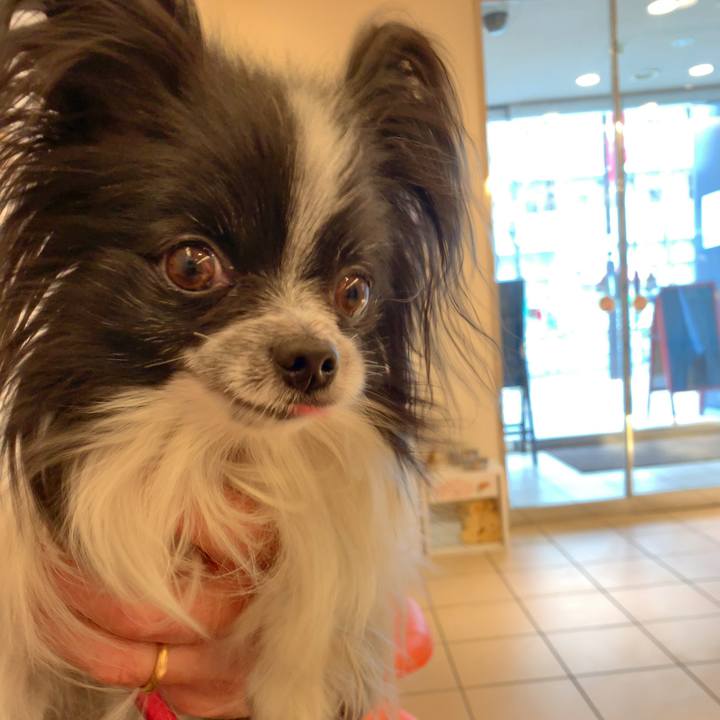 1d3d80a6 6922 47ae 9d35 9b9e34b2848f 1550365924058