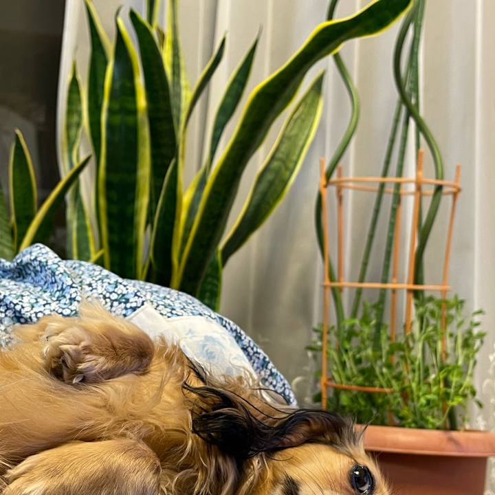 1d3d9229 a0a8 411f 82cb c6f4f47abd8f 1682642350646