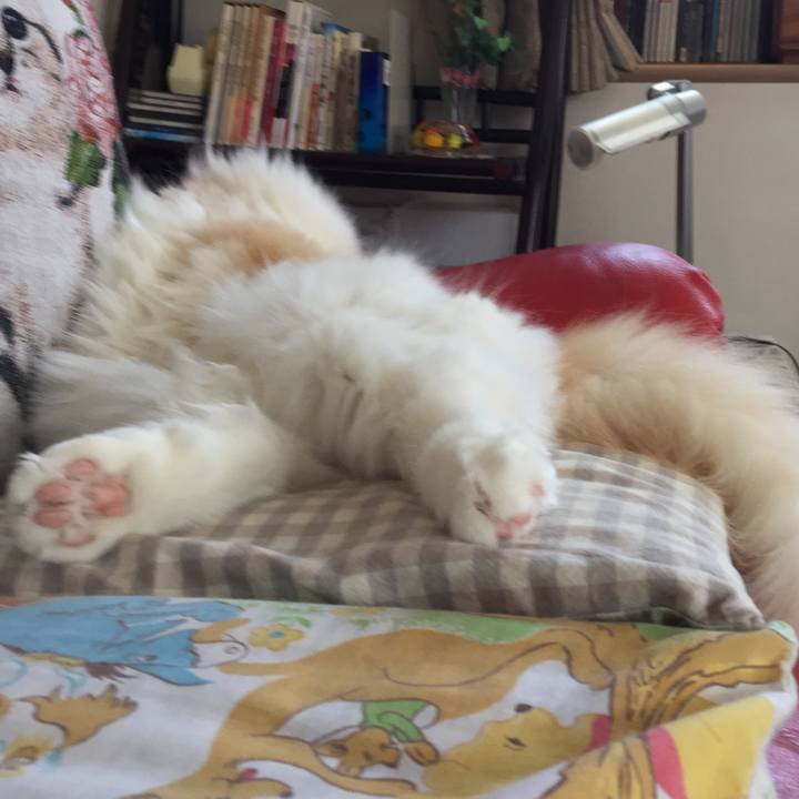 1d3dbdcd 9337 41bf a1da 3431da2ed925 1520317825831