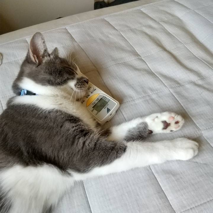 1d3de1df da31 4d4e 95e0 65b8f573d9d5 1597709849118