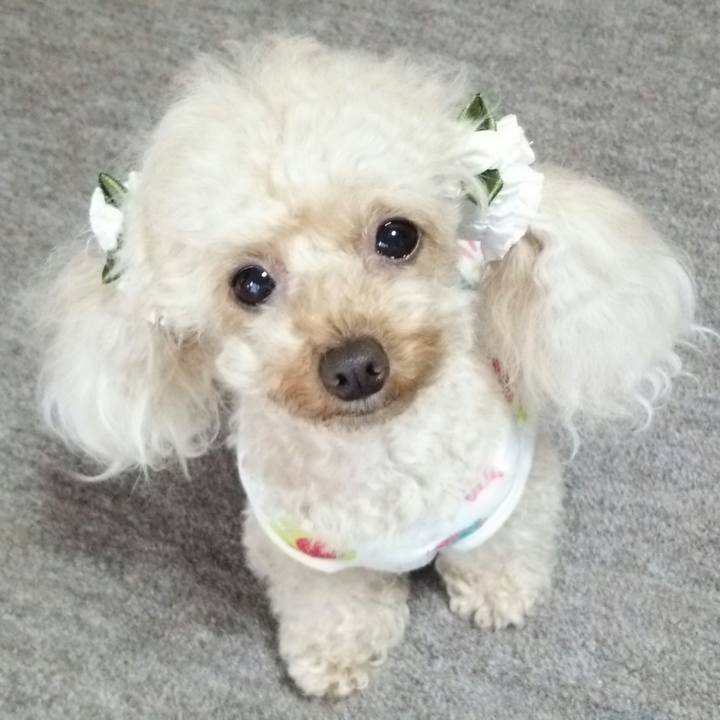 1d3eb24a 9a41 4a93 90af 4124cd4dc6ec 1532766812179