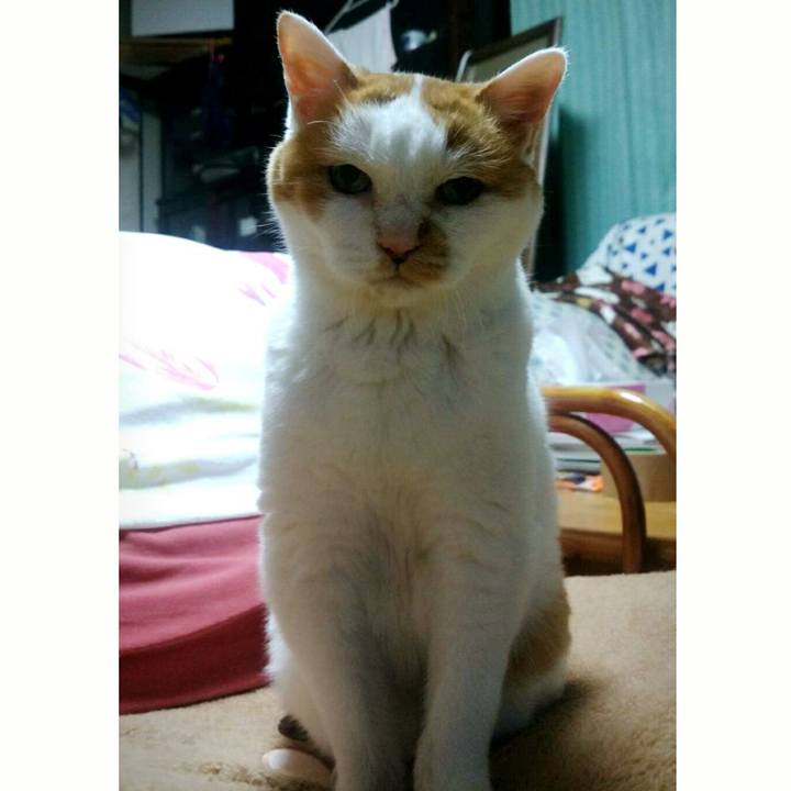 1d3ed50d d1ac 4fdd a2d5 4690daebd880 1507725798614