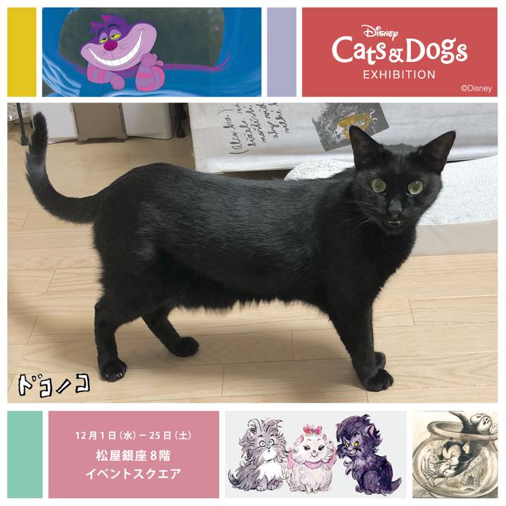 1d3ef0a1 0d10 42aa a273 c4b8a29fbeb0 1638354399879