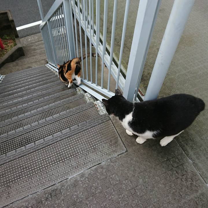 1d3ef4d0 dd4b 4bd7 a20b 5a55b52e9ebe 1572233566315