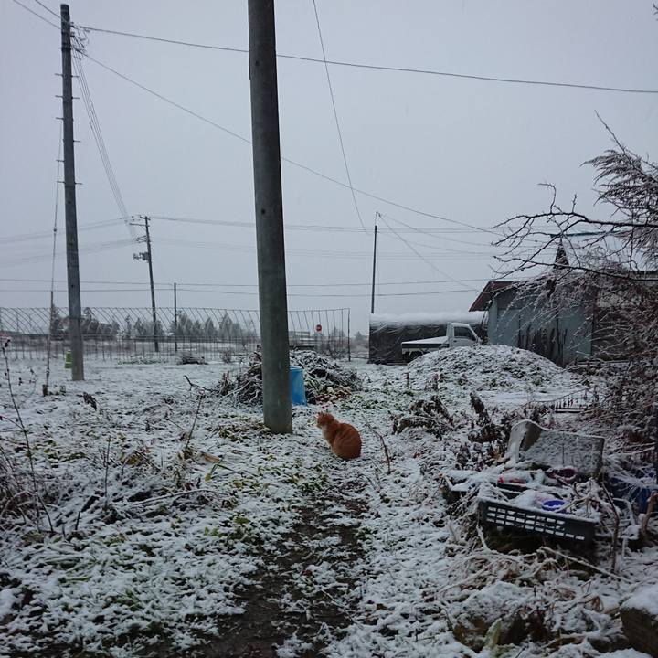 1d3f2940 1ae6 4420 aeb0 84de9f0f0ad9 1579044848257