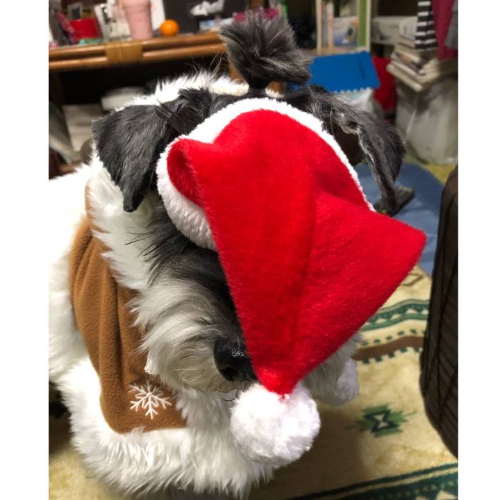 1d3f4171 c000 4131 bff4 05729caa36a2 1671854475990