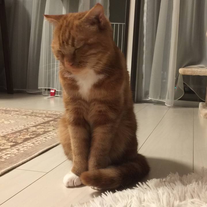 1d3f4900 258e 40d9 ac6d 23c73c81f38e 1561474348844