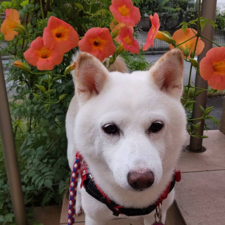 1d3fc477 e7c7 4af6 a8ec a389b19f7399 1688896750931