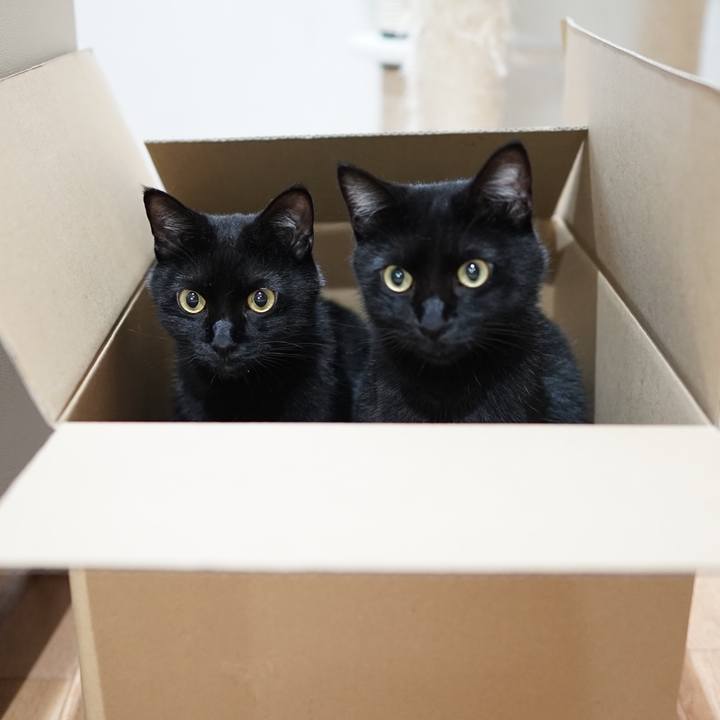 1d3fe5a5 b89d 4eaa aed9 82f200ace9a9 1565706747012