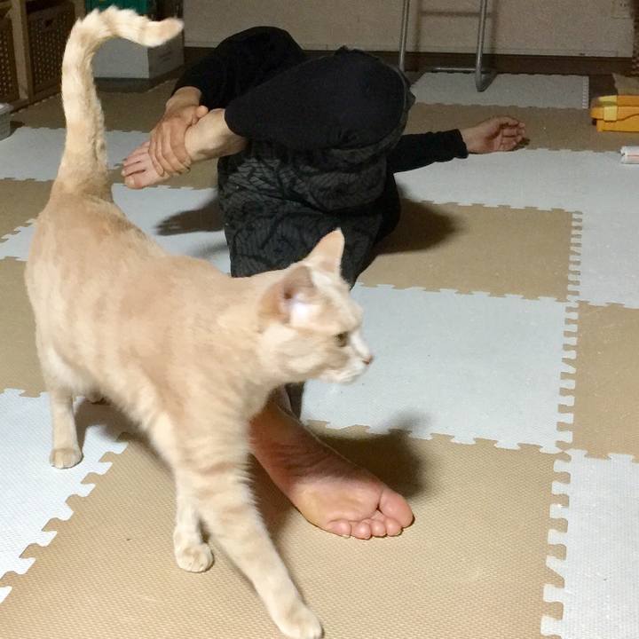 1d401330 ac86 4b01 9a61 528a3249decb 1525868173213