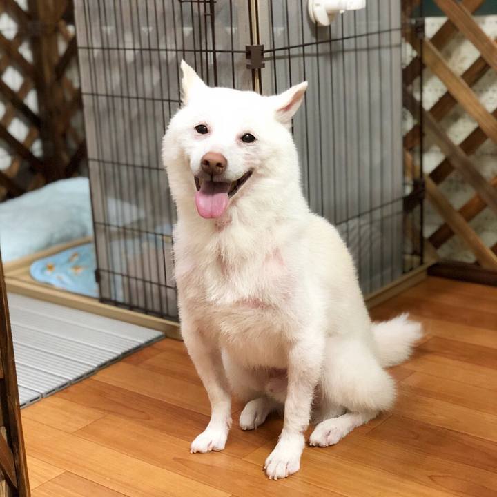 1d4019f9 149e 4be0 bf14 d1d3dcba37fc 1530967166779