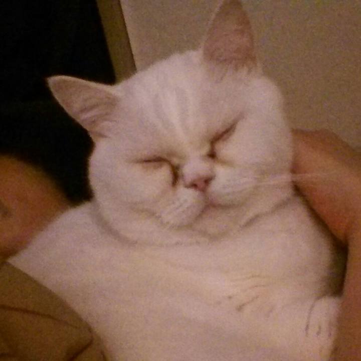 1d4027eb 77c7 42d0 9d8e 17e939f11f09 1512344698660