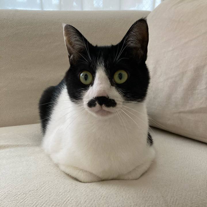 1d405a59 9de6 4b23 b843 a1a191f0ca5d 1772683404677