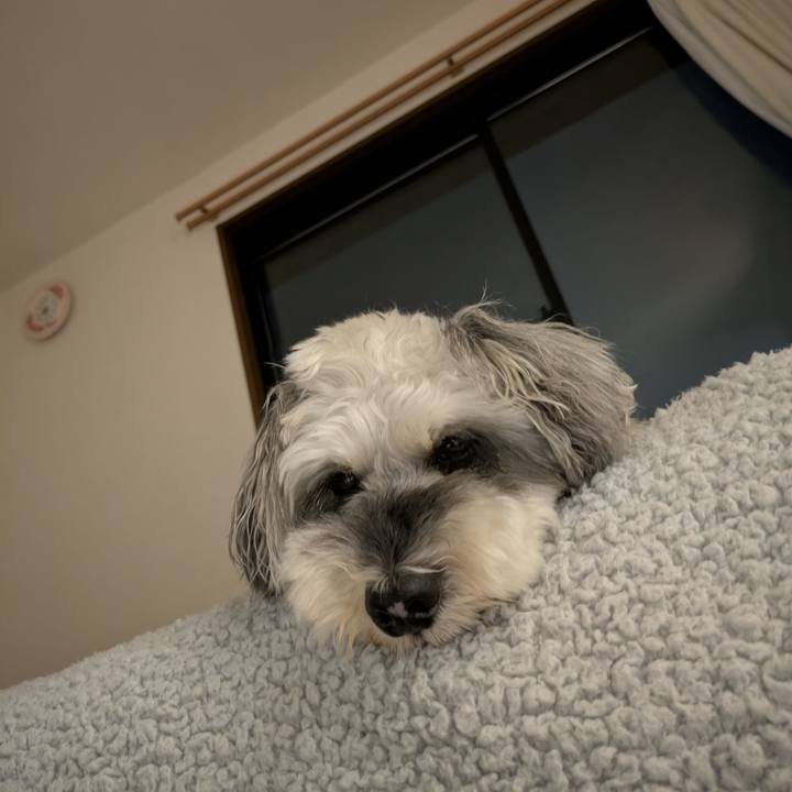 1d406305 6586 4652 b727 6f02769ed93a 1757594815455