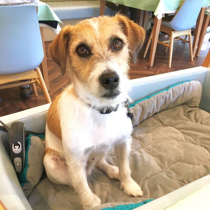 1d40bc46 071f 45d6 91ae 33168bf608ff 1569719585975