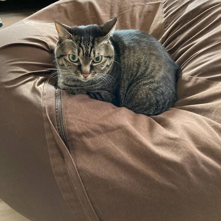 1d4126ef 6dcc 460d b8f5 9037d3561e4a 1614295653867