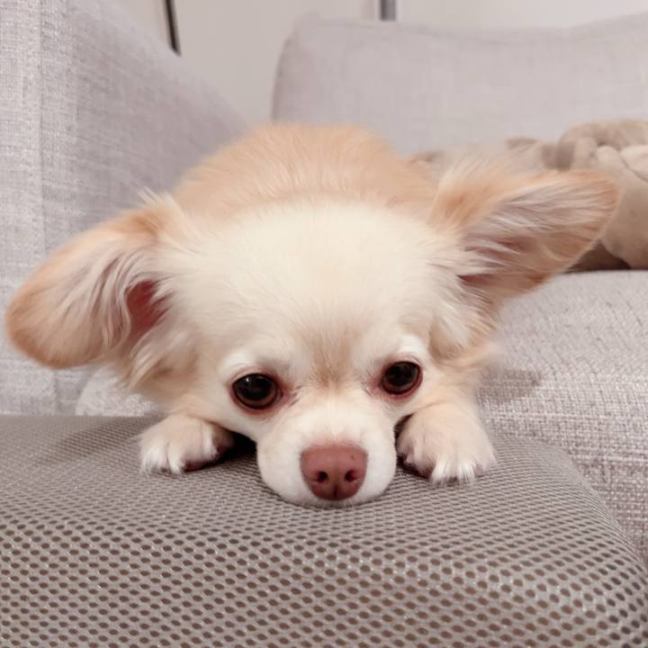 1d41338b c8c3 489f a07a 605fcc77ecf6 1718709635844