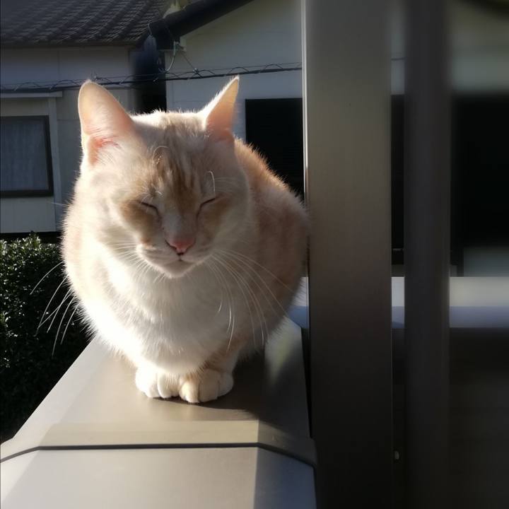 1d41408b 2fef 47bd beaa 3d83bff39ebc 1606642571852