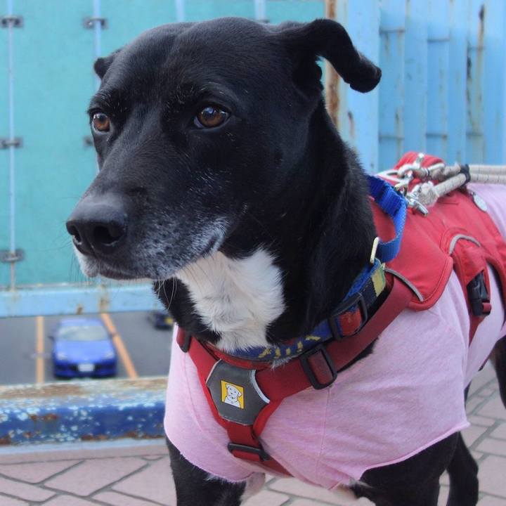 1d414ab4 6bfc 47d1 98fe a35cd7be7939 1676422677524