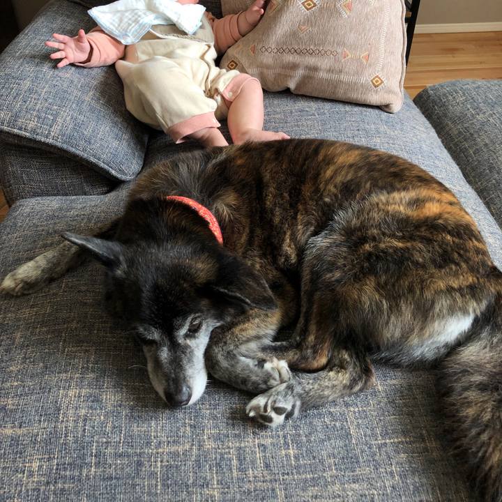 1d414b2e 0cb5 45e4 8640 84cf8ab88b23 1713603692979