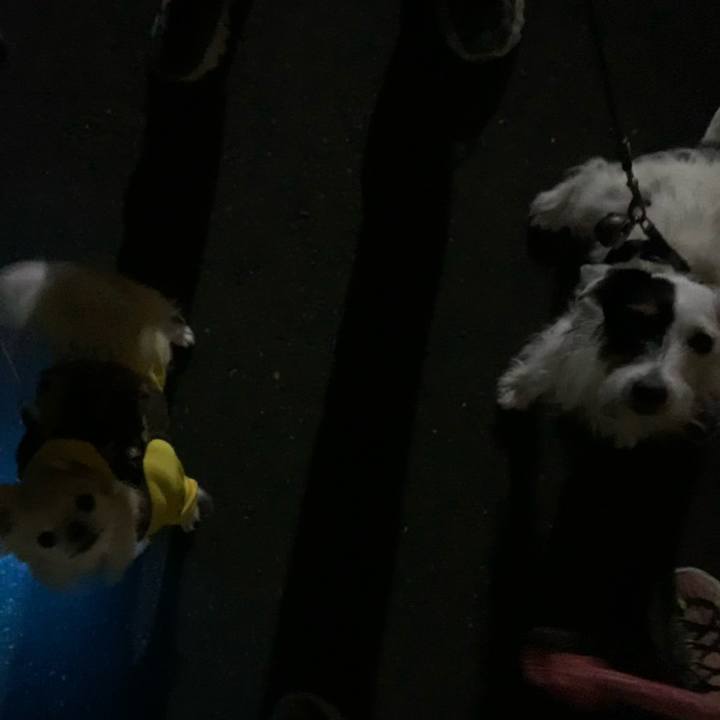 1d41882b 9963 4f85 906e f445819975ae 1699708875959