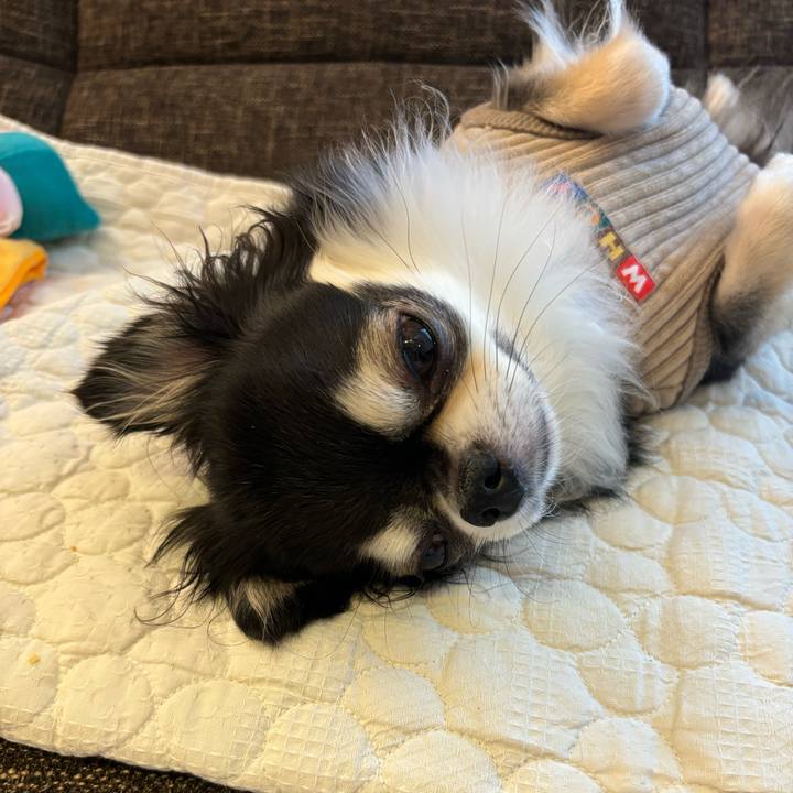 1d41ac13 7d51 42be b011 7a4be35fc0f5 1730737154296