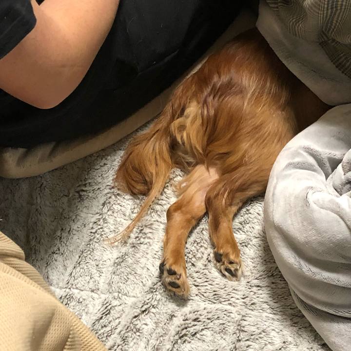 1d41b4c7 0746 4530 9c85 070d1938639d 1542406519894