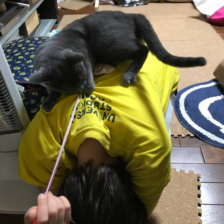 1d41c6fe e40e 4d76 aa0f b13ea3550414 1526018604428