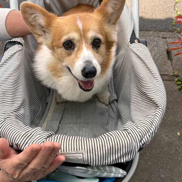 1d41ddb4 34a7 4efe b6e9 f633a5796262 1776390288285