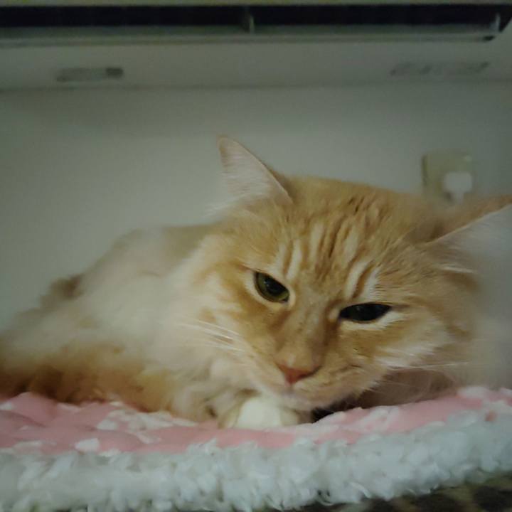 1d41f98c a7ef 4114 84e4 0fa9c6614e57 1709848506286