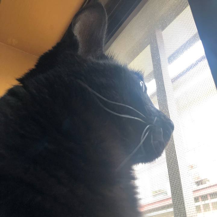 1d4219d2 915d 4bc6 865e 7ed3caf4f622 1563578324558