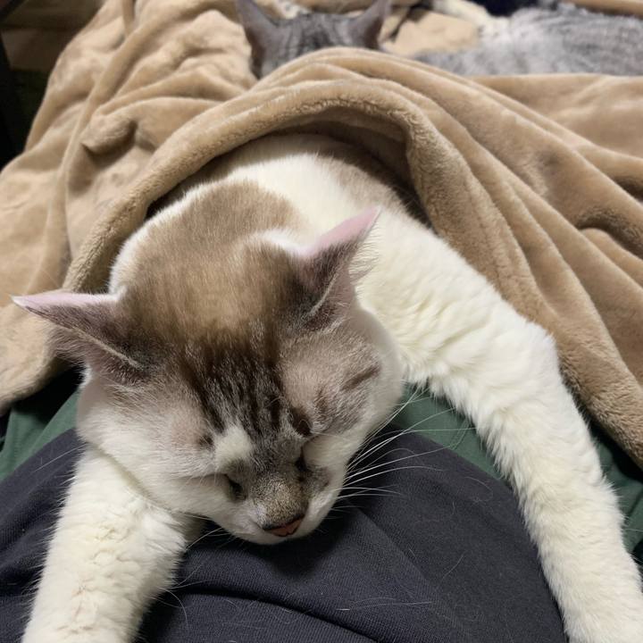 1d423e18 62f8 4bc3 8add 464bfc2cfb79 1634989069090