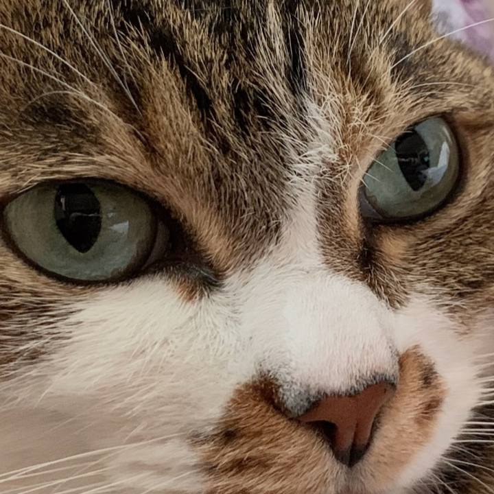 1d4248e8 3b3e 47ba 9d03 c13cb065241a 1613426153427